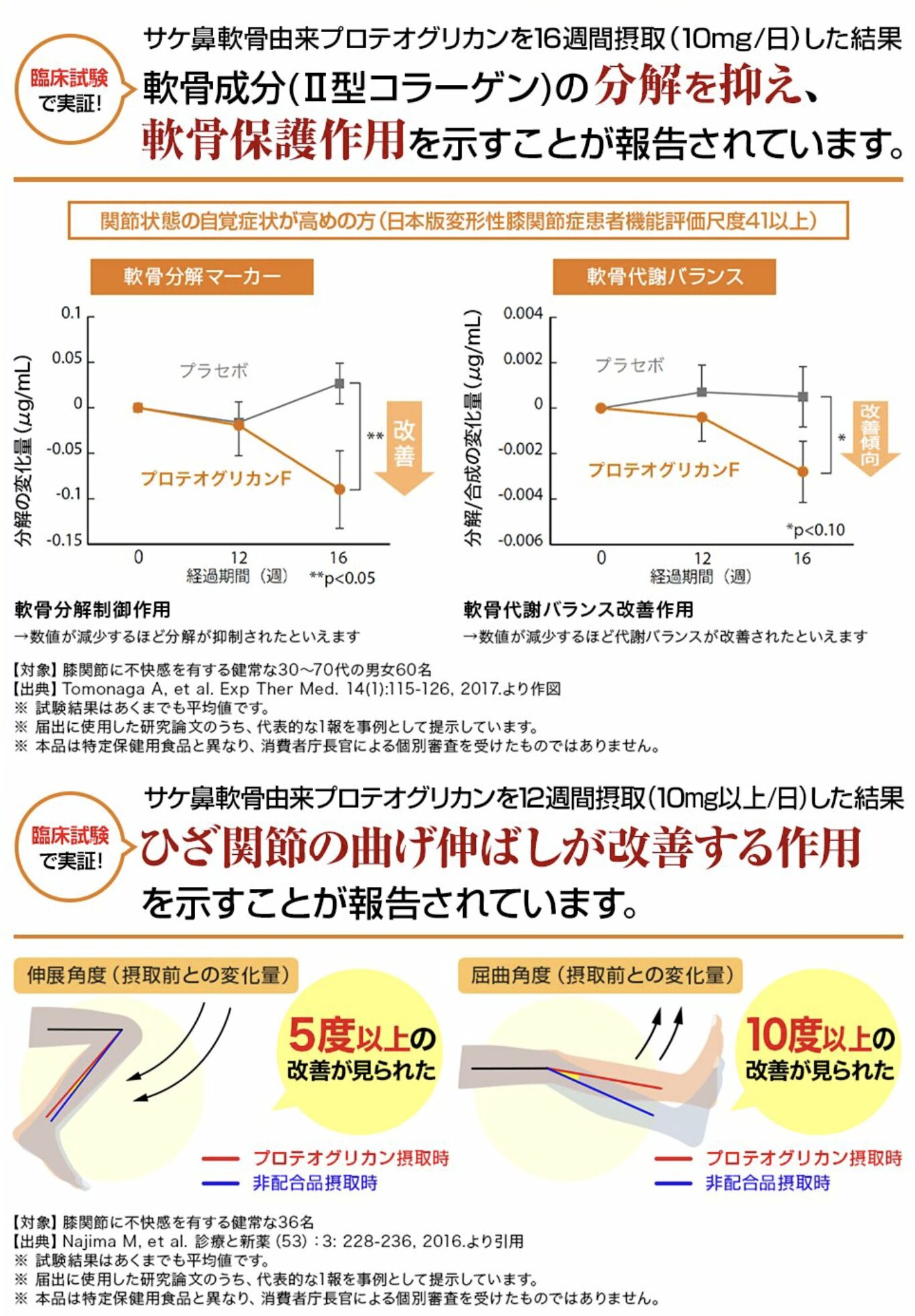 リフリーラのプロテオグリカン研究